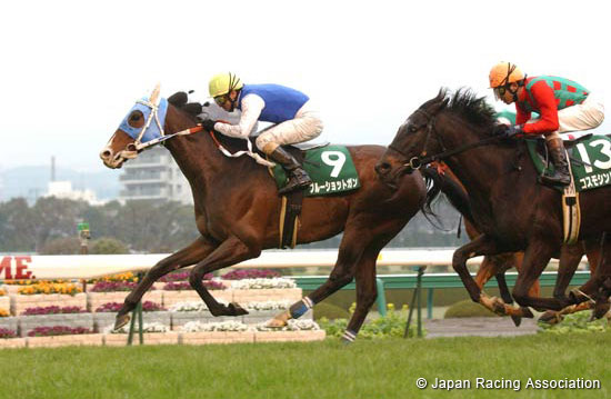Hankyu Hai (JPN G3)