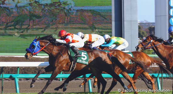 Yukan Fuji Sho Ocean Stakes (JPN G3)