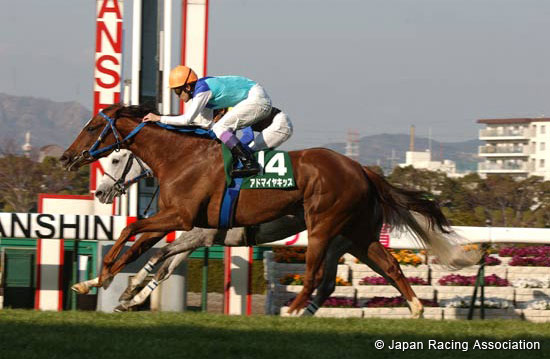 Tulip Sho (Japanese 1000 Guineas Trial) (JPN G3)