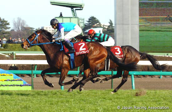 Hochi Hai Yayoi Sho (Japanese 2000 Guineas Trial) (JPN G2)