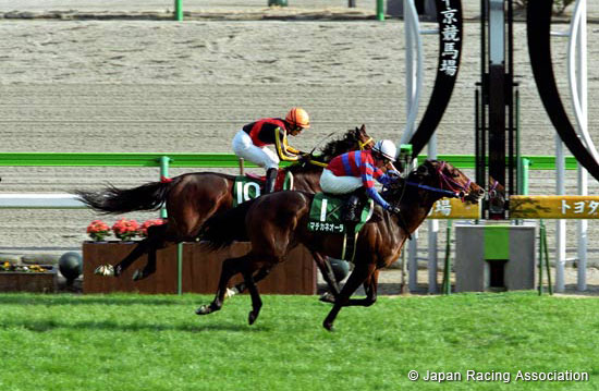 Toyota Sho Chukyo Kinen (JPN G3)
