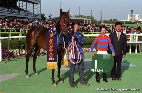 Toyota Sho Chukyo Kinen (JPN G3)