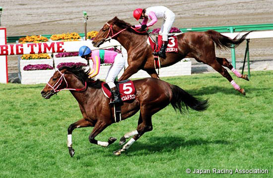 Hanshin Spring Jump (J-G2)