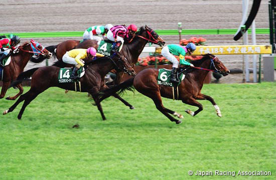 Chunichi Sports Sho Falcon Stakes (JPN G3)