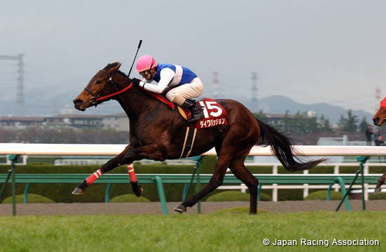 Hochi Hai Fillies' Revue (Japanese 1000 Guineas Trial) (JPN G2)