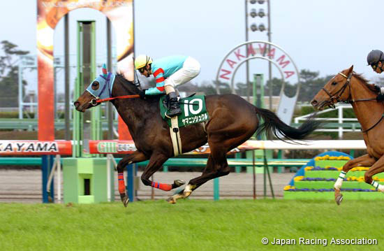 Laurel R.C. Sho Nakayama Himba Stakes (JPN G3)