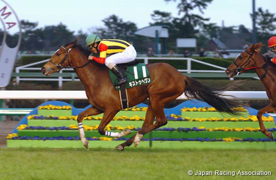 Flower Cup (JPN G3)