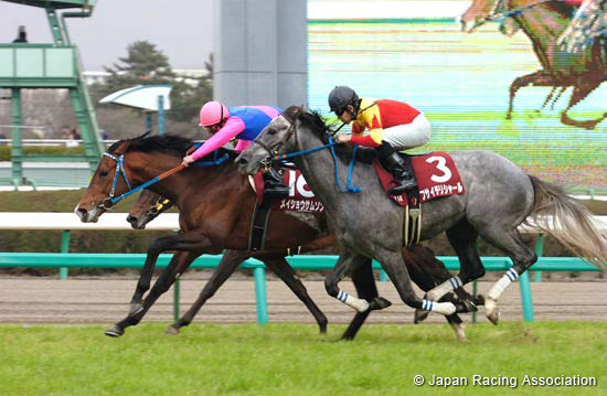 Fuji TV Sho Spring Stakes (Japanese 2000 Guineas Trial)(JPN G2)