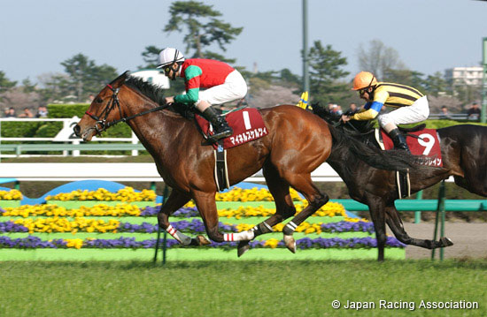 New Zealand Trophy (NHK Mile Cup Trial) (JPN G2)
