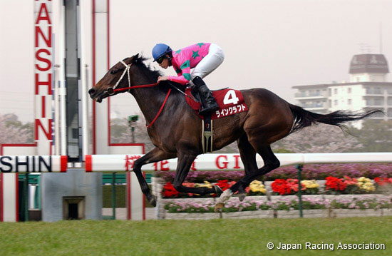 Sankeisports Hai Hanshin Himba Stakes (JPN G2)