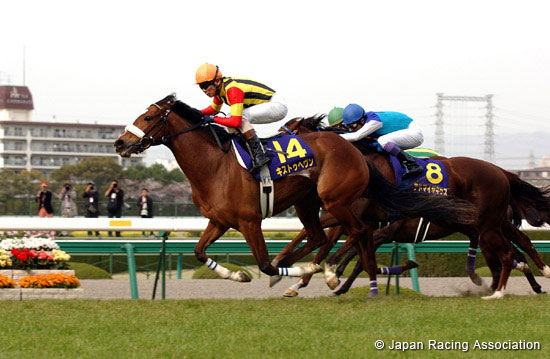 Oka Sho (Japanese 1000 Guineas)(JPN G1)
