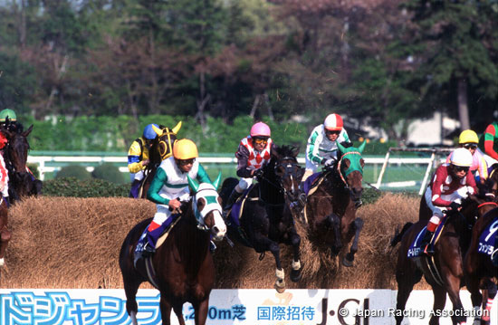 Nakayama Grand Jump (J-G1)