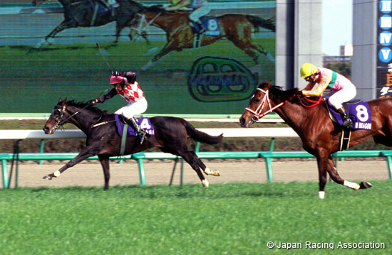 Nakayama Grand Jump (J-G1)