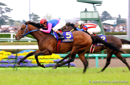 Satsuki Sho (Japanese 2000 Guineas) (JPN G1)