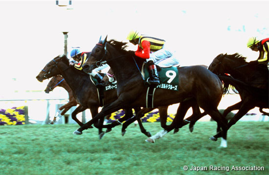 Fukushima Himba Stakes (JPN G3)