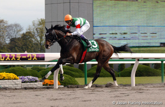 Antares Stakes (JPN G3)