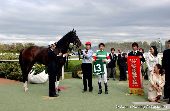 Antares Stakes (JPN G3)