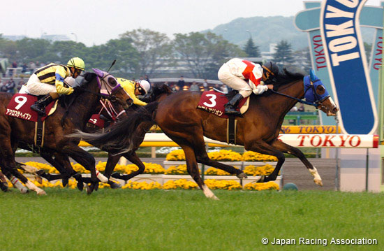 Sankei Sports Sho Flora Stakes (Japanese Oaks Trial) (JPN G2)