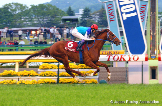 TV Tokyo Hai Aoba Sho (Japanese Derby Trial) (JPN G2)