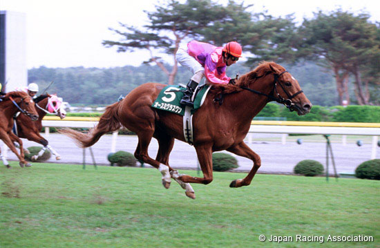 Niigata Daishoten (JPN G3)