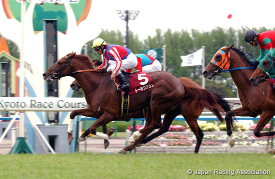 Kyoto Shimbun Hai (JPN G2)