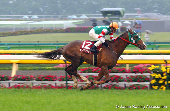 Keio Hai Spring Cup (G2)