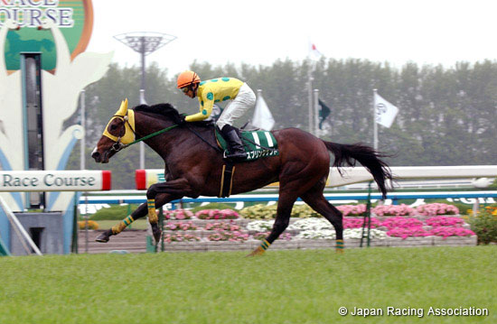 Kyoto Jump Stakes (J-G3)