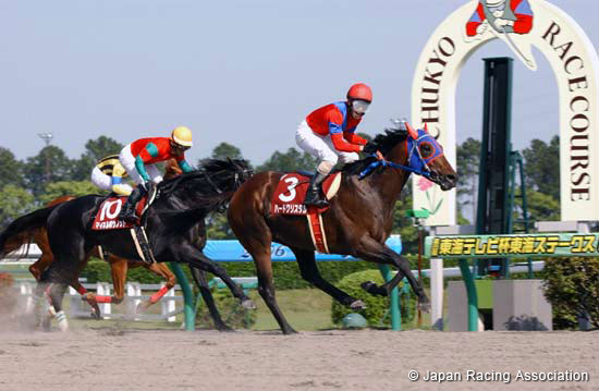 Tokai TV Hai Tokai Stakes (JPN G2)