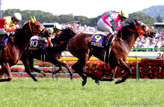 Yushun Himba (Japanese Oaks) (JPN G1)