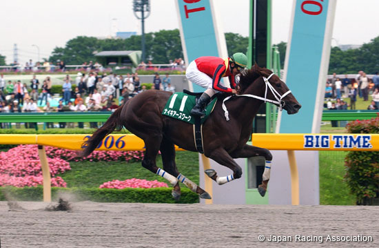 Unicorn Stakes (JPN G3)