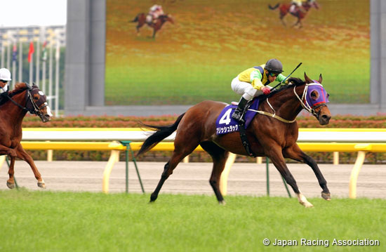 Yasuda Kinen (G1)