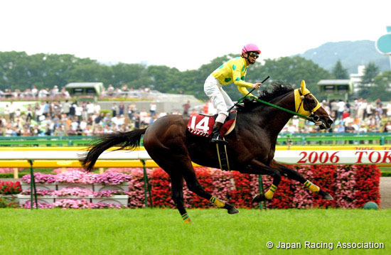 Tokyo High-Jump(J-G2)