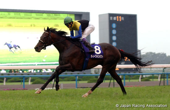 Takarazuka Kinen (G1)
