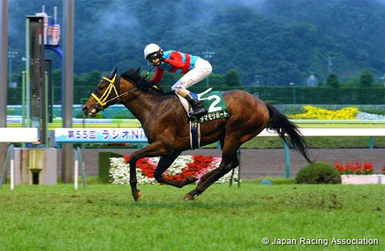 Radio Nikkei Sho (JPN G3)