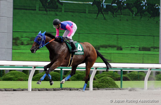 Procyon Stakes (JPN G3)