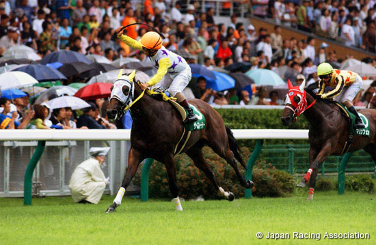 IBIS Summer Dash (JPN G3)