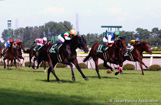 Sekiya Kinen (JPN G3)