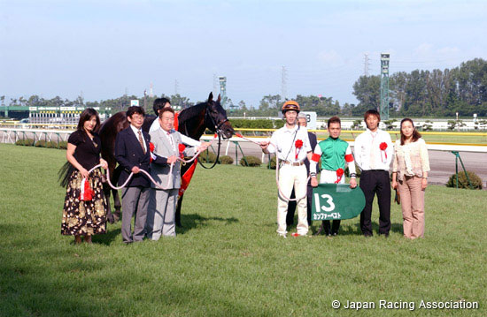 Sekiya Kinen (JPN G3)