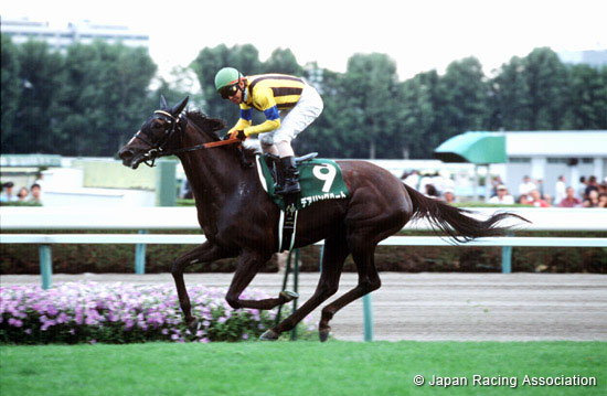 Hokkaido Shimbun Hai Queen Stakes (JPN G3)