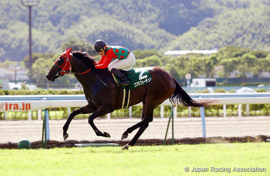 TV Nishinippon Corp. Sho Kitakyushu Kinen (JPN G3)