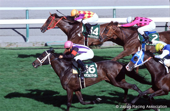Keeneland Cup (JPN G3)