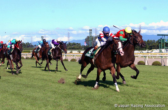 Niigata Nisai Stakes (JPN G3)