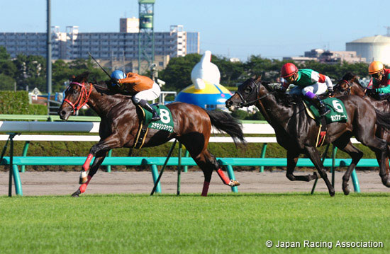 Keisei Hai Autumn Handicap (JPN G3)
