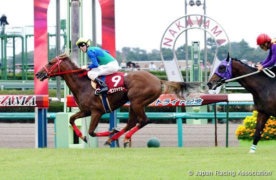 R. F. Radio Nippon Sho St. Lite Kinen (Japanese St. Leger Trial) (JPN G2)