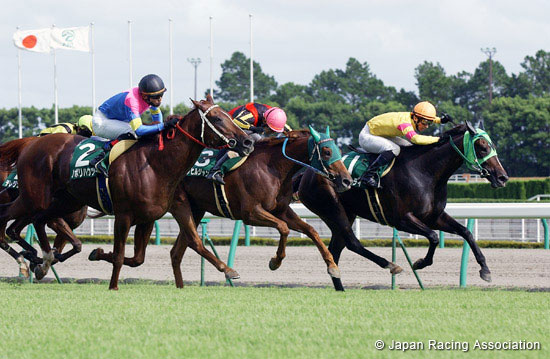 Hanshin Jump Stakes (J-G3)