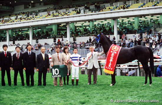 Elm Stakes (JPN G3)
