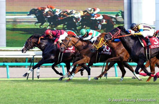 Sankei Sho All Comers (JPN G2)