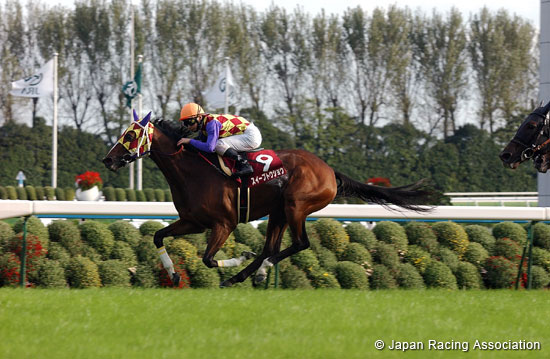 Kyoto Daishoten (JPN G2)