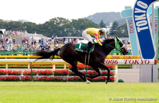 Tokyo Autumn Jump (J-G3)