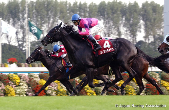 Daily Hai Nisai Stakes (JPN G2)
